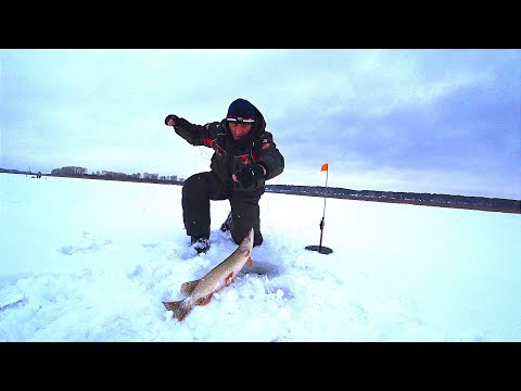 Видео: ЩУКИ ОЗВЕРЕЛИ! ВОТ ЭТО РЫБАЛКА!! МЫ В ШОКЕ!!! сработки одна за другой.
