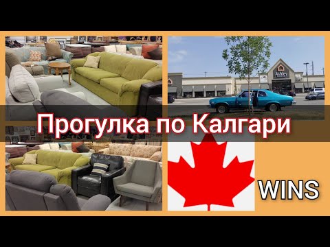 Видео: VLOG. Прогулка по Калгари. Доступная мебель в WINS. Заправка. Подготовка к работе. Канада иммиграция