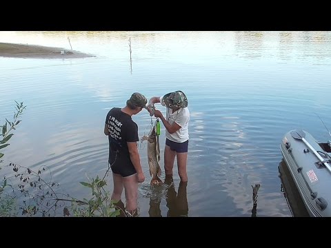 Видео: Мы с Русфишинга или рыбалка на Ветлуге в Марий Эл.