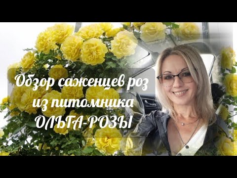 Видео: Vlog-196 Саженцы РОЗ из питомника ОЛЬГА-РОЗЫ. Как по мне, то лучший питомник1💯👍🌹🌹🌹Обзор.