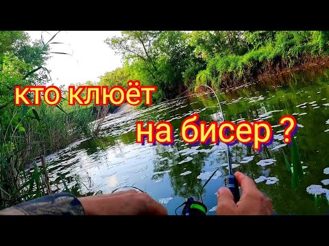 Видео: Мормышинг на бисер.Разнорыбье.