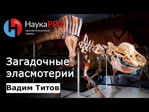 Видео: Загадочные эласмотерии: какими они были на самом деле – палеонтолог Вадим Титов | Научпоп