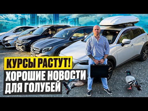 Видео: АВТО ИЗ ЯПОНИИ ОТ 450 000 руб❗️ЦЕНЫ ПОКА ДЕРЖАТСЯ❗️
