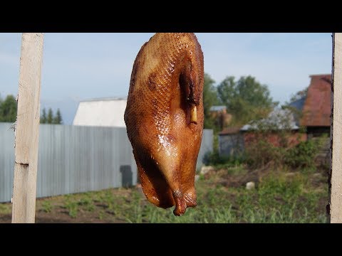 Видео: Как правильно коптить. Гусь горячего копчения.Солим + Коптим
