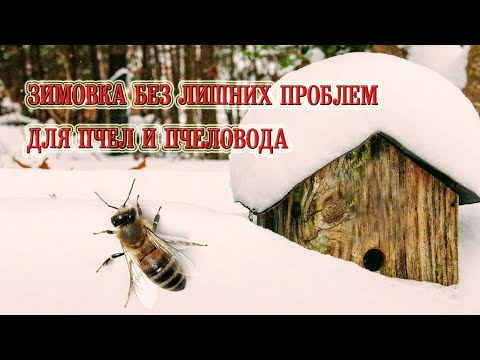 Видео: Зимовка без Лишних Проблем для Пчёл и Пчеловода!