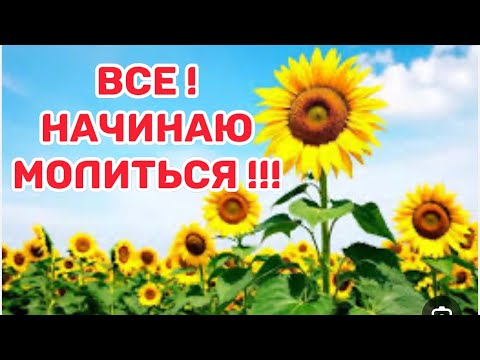 Видео: Я НАШЛА ДОМ МЕЧТЫ.КАК РАЗ НАМ ПОДХОДИТ В НЕМ ВСЕ ПРЕКРАСНО, КРОМЕ ОДНОГО.АРИЗОНА ДОМА КОМУ 55+