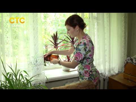 Видео: Профессия Социальный работник