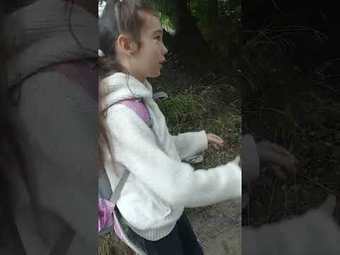 Видео: Ідем додому