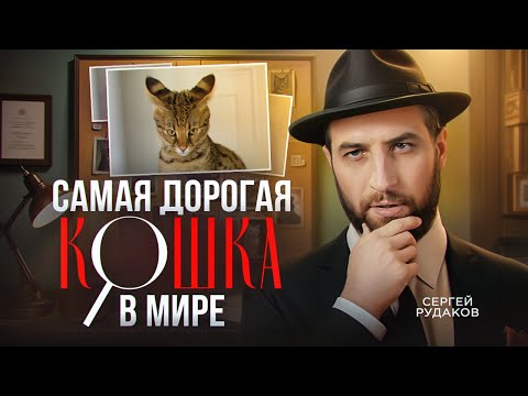 Видео: Ашера – гипоаллергенная кошка, или как обмануть всех