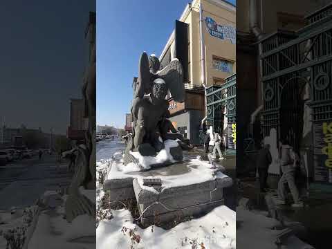 Видео: 10 ноября 2025 г.