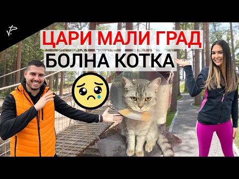 Видео: ДЕН С НАС. ЦАРИ МАЛИ ГРАД И БОЛНА КОТКА