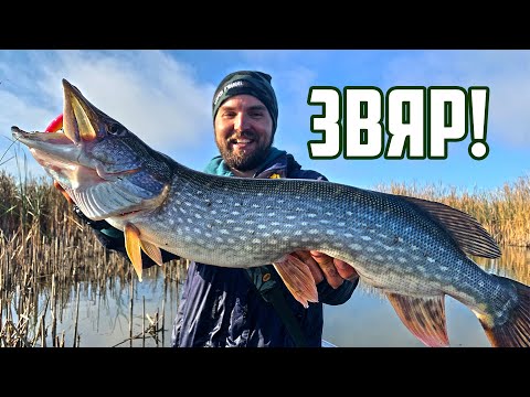 Видео: ОТКРИХМЕ ТАЕН КОРИДОР В ПАПУРИТЕ С МНОГО ЩУКИ! Риболов на щука в ЩУКАРСКАТА ДЖУНГЛА с dead float