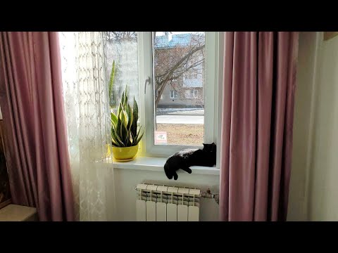 Видео: Готовлюсь к юбилеям