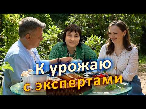 Видео: Осенние работы в саду и огороде С ЭКСПЕРТОМ