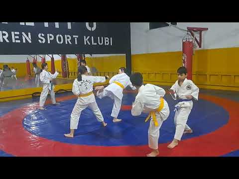 Видео: Трудимся в парах 