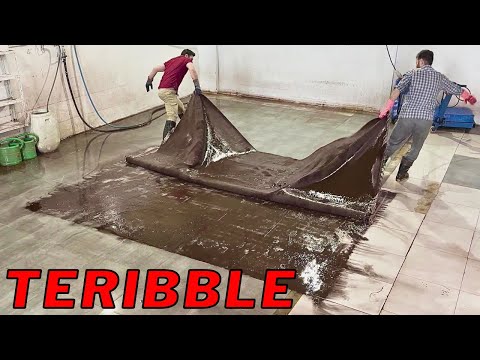 Видео: Мой 24-часовой марафон по чистке ковра за миллион долларов