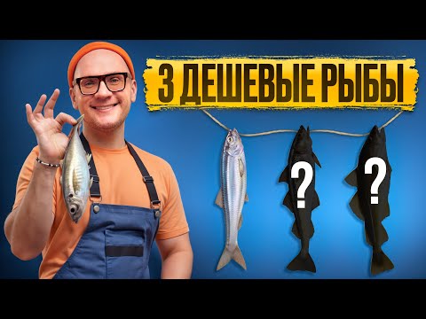 Видео: 3 ПОЛЕЗНЫХ вида рыбы ЗА КОПЕЙКИ! / Самая полезная ДЕШЕВАЯ рыба!