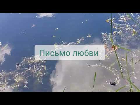 Видео: Сильными нас делают не деньги, власть или оружие. Сильными нас делает мир, который внутри //Т.Н.Хан 