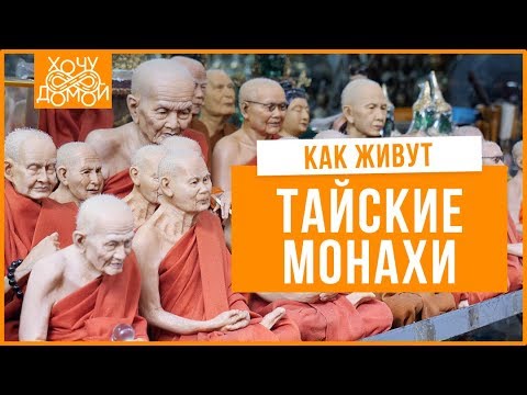 Видео: Жизнь тайских монахов // Добровольный плен