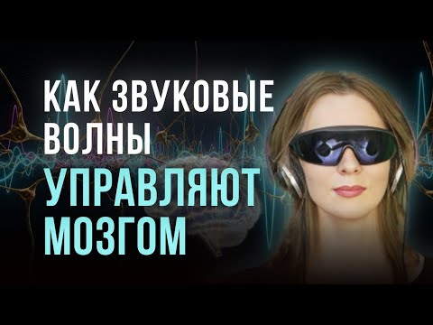Видео: Как улучшить работу мозга: 5 важных ритмов головного мозга