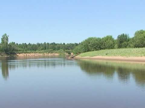 Видео: Ветлуга DVD.VOB