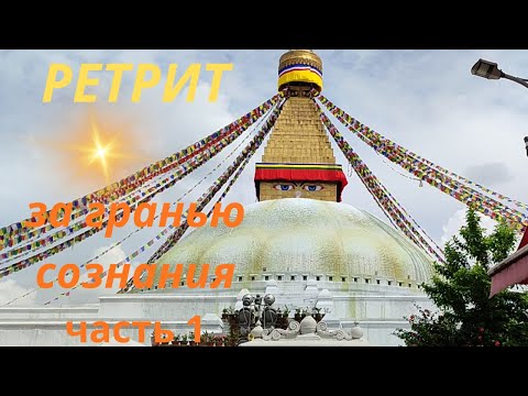 Видео: Гриб, который открывает Бога. Подкаст о ретрите с проводниками микомистицизма. Часть1