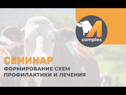 Видео: Формирование схем лечения и профилактики || семинар М-комплекс