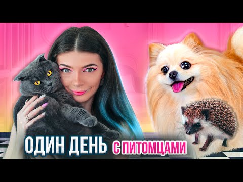 Видео: Мой ОДИН ДЕНЬ с ПИТОМЦАМИ | Я Осталась Одна