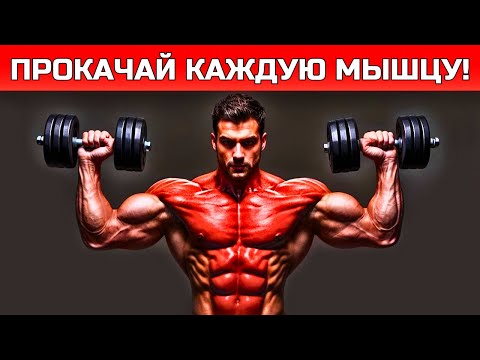 Видео: Эти 8 упражнений с гантелями полностью преобразят всё твоё тело (Стань БЕЗУМНО СИЛЬНЫМ!)