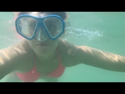 Видео: СНОРКЛИНГ В ЧЕРНОМ МОРЕ | ЧТО ПРОИСХОДИТ НА ПЛЯЖЕ 