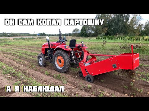Видео: Трактор Shifeng sf 244c картофелекопалка kerland кт-1 он сам выкопал картошку