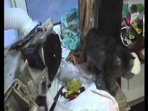 Видео: Ремонт печки Volvo 850 Часть 3/3