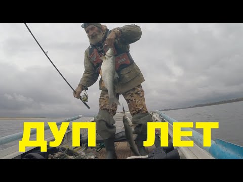 Видео: Дуплет!