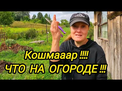 Видео: КУПИЛИ ДОМ В ДЕРЕВНЕ | Кошмааар что на огороде | Дом в деревне | Деревенские будни 