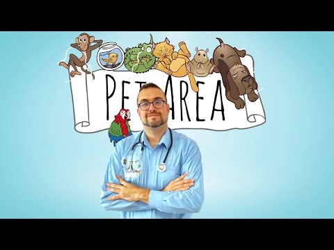 Видео: Една година PetArea!!!!