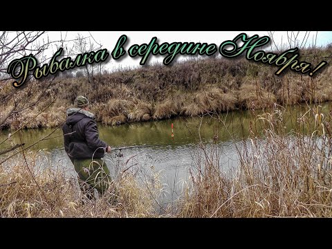 Видео: ЛОВЛЯ ПЛОТВЫ НА ПОПЛАВОК НА МАЛОЙ РЕКЕ!ХВОСТАТЫЙ ГОСТЬ!ЖАЛЬ,ЧТО ПРИШЛОСЬ УХОДИТЬ.