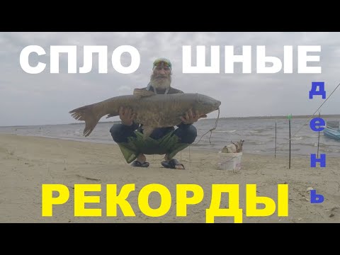 Видео: Сплошные РЕКОРДЫ!  