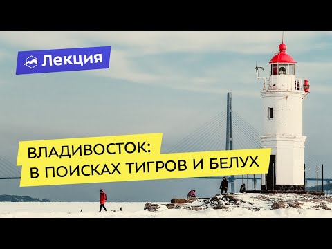 Видео: Владивосток: в поисках тигров и белух