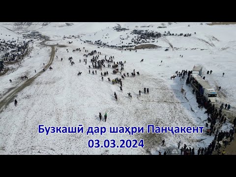 Видео: Бузкаши дар шаҳри Панҷакент 03.03.2024 қисми 1