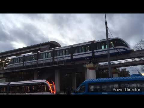 Видео: Монорельс, ВДНХ,20.10.2020