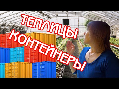 Видео: Теплицы | Контейнеры | Советы по уходу за фиалками #03 |Мои фиалки