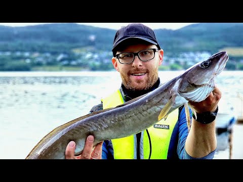 Видео: СТОЛЬКО РЫБЫ БЫВАЕТ НЕ ЧАСТО!!!Рыбалка в Норвегии с лодки!! Морская рыбалка. Мольва. Скумбрия.