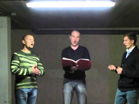 Видео: Free Voice - Cіла птаха