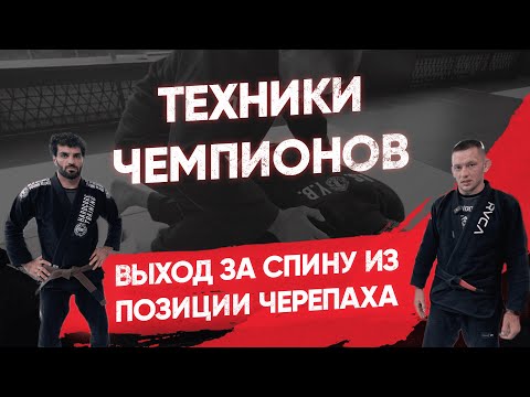 Видео: Выход за спину из позиции черепаха / Коронная техника Коляна Салмина