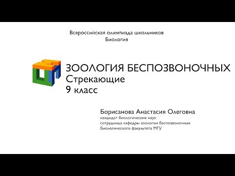 Видео: Биология. 9 класс. Борисанова А.О.  Зоология беспозвоночных.  Стрекающие