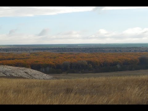 Видео: Hiking Chalk Mountains Ilovlya River Bright Autumn Меловые горы река Иловля Золотая осень