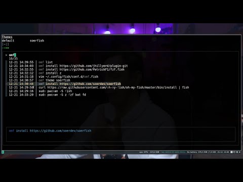 Видео: Fish-шелл всем шелам шелл