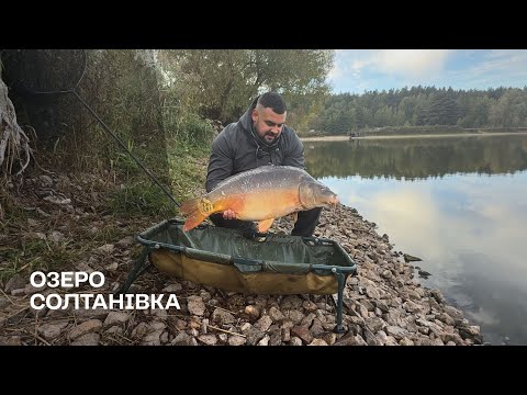 Видео: Риболовля на карася пішла не по плану / Короп велетень ледь не зламав фідер / Осіння Солтанівка