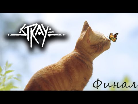 Видео: Игрофильм Stray. Финал.