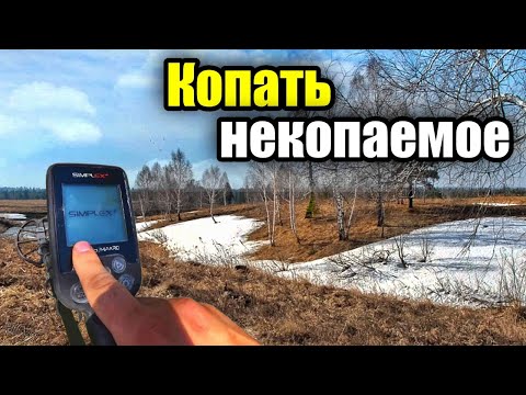 Видео: На опушке леса с MD Nokta Makro Simplex plus.